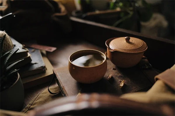 適材適所を守れば、植物は勝手に育つ