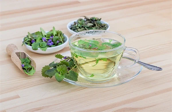 冬の剪定、実はやってはいけない7つの植物とは？