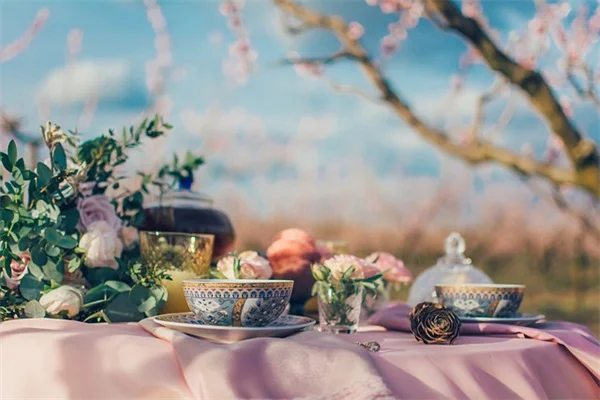 春に植える一年草おすすめ8選！初心者でも失敗しない育て方のコツ