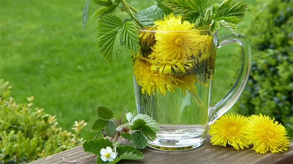 バラの害虫10種類を完全解説！自然な方法で対策するコツ