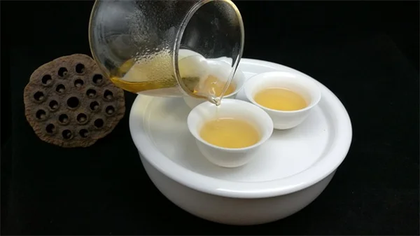 春の庭掃除はいつから？蝶を守る3つのタイミングと実践法